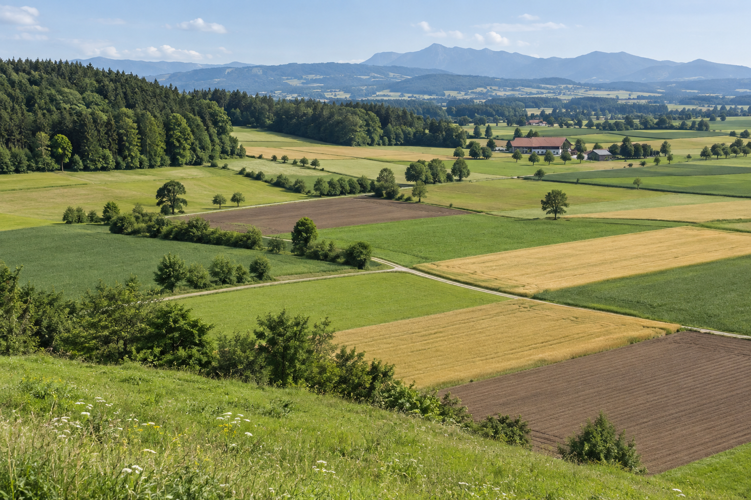 Landwirtschaftliche Felder, Wiesen und Hofstelle